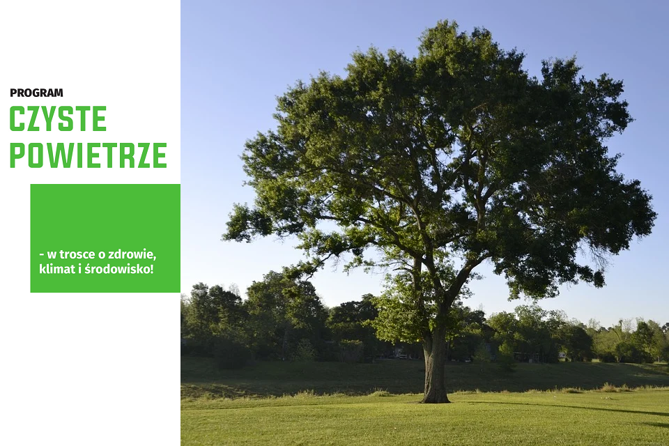 program czyste powietrze dla kogo