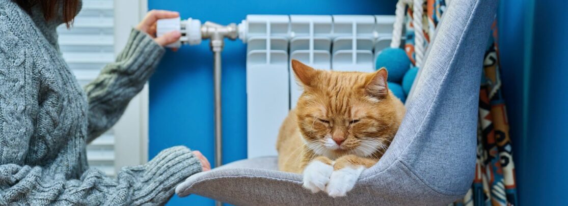 Cat lying on chair near heating radiator, woman regulating temperature